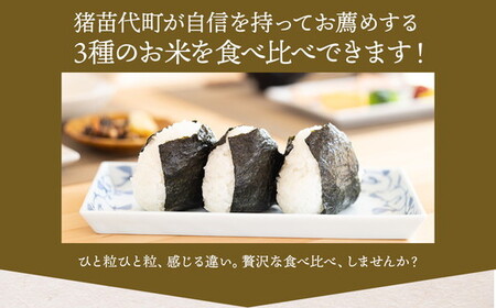 令和7年産 いなわしろブランド米3個セット( 精米 ) 各300g ｜ お米 白米 真空パック 食べ比べ 福島 和食