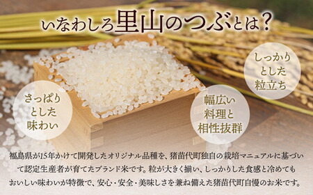 令和7年産 猪苗代町ブランド米 いなわしろ里山のつぶ( 精米 ) 5kg ｜ お米 白米 福島 和食