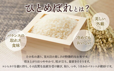 令和7年産 いなわしろひとめぼれ( 精米 ) 10kg ｜ お米 白米 福島 やわらかい 和食