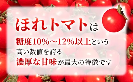 高糖度「ほれトマト」2kg　極上 ミニトマト 糖度10度以上 
