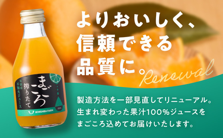 ZE6459_【まごころ搾りたて】不知火 100%ジュース 180ml × 15本