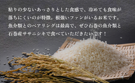 令和7年産 石巻産 ササニシキ 精米 5kg 米 お米 白米 コメ ご飯 主食
