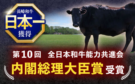 長崎和牛サーロインステーキ 約600g(200g×3枚)[OCE037] / サーロインステーキ 長崎県