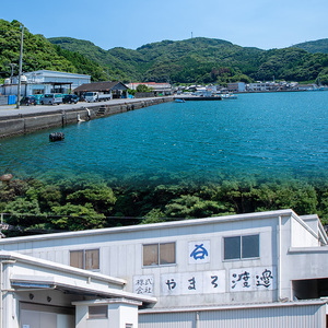 中骨なし開き3種詰め合わせ(16尾・3種) 魚 海鮮 開き 干物 焼き魚 あじ アジ かます カマス さば サバ 鯖 骨なし 冷凍 詰め合わせ セット 【opaa009】【やまろ渡邉】