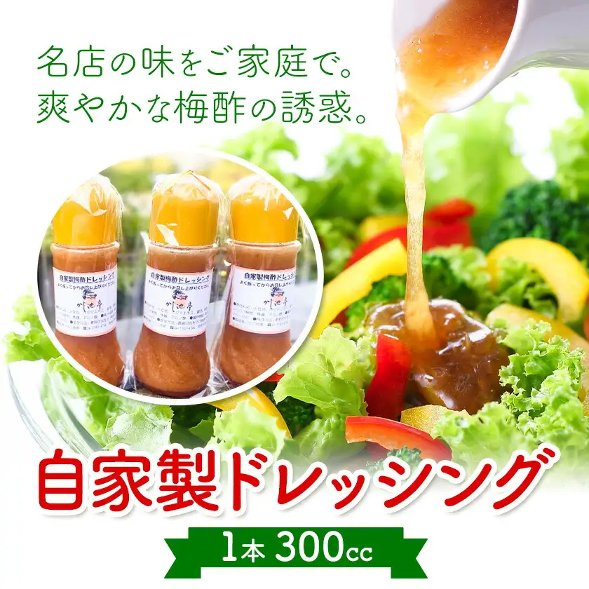 ドレッシング 自家製 300cc 6本 かじ池亭《30日以内に出荷予定(土日祝除く)》千葉県 我孫子市 ドレッシング 調味料 詰め合わせ お取り寄せ 国産 梅酢 万能 常備 サラダ 温野菜 カルパッチョ 送料無料