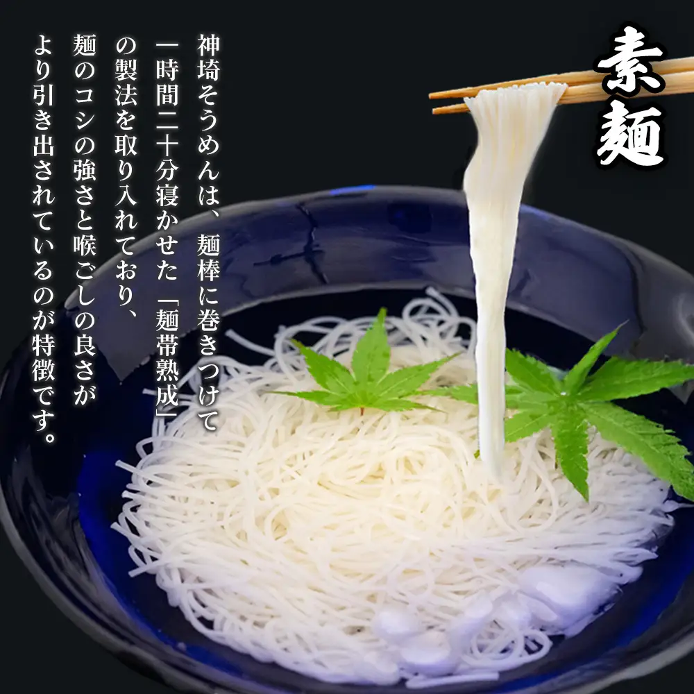 神埼めんセット(そうめん4袋・蕎麦2袋) 12カ月定期便(H110105)