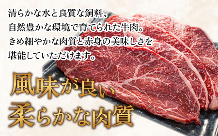 【国産 プレミアムビーフ】【味付】赤ランプ ステーキ 180g × 2枚 　計360g 和牛 プレミア
