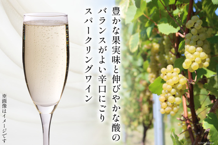 白 ワイン テンポ ビアンコ 750ml [Poggio Verde（ポッジョ ヴェルデ） 長野県 池田町 48110668]