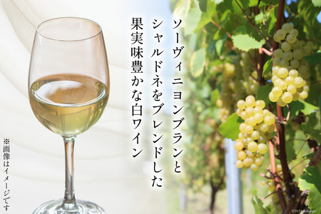白 ワイン フェリーチェ ビアンコ 750ml 4本 [Poggio Verde（ポッジョ ヴェルデ） 長野県 池田町 48110682]