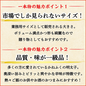 【ふるさと納税】かねふく 1kg 辛子明太子 Lサイズ(1本物)5箱 [a0557] 藤井乾物店 ※配送不可：離島【返礼品】添田町 ふるさと納税