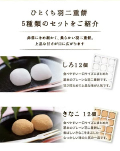 羽二重餅 12個入り × 2箱(白・きなこ)[023-a017]