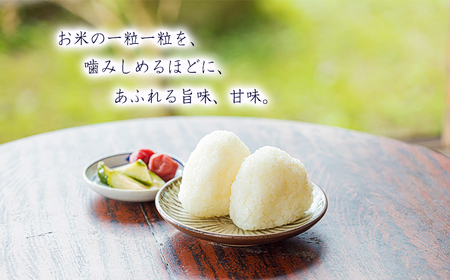 【数量限定】令和6年産 きりしまの湧水育ち 福澤ファームの高原町産ひのひかり5kg 白米 国産 宮崎県産 高原町産 使い切り ごはん ご飯 産地直送 湧水 安全 安心 12000円 1.2万円 TF0809-P00076