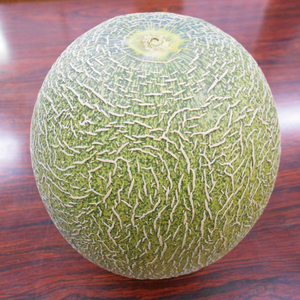 茨城県産阿見グリーンメロン5kg(3玉)【秀品4L】先行予約【JA水郷つくば】フルーツ 果物 くだもの 甘い おいしい メロン 茨城県 阿見町【2026年6月下旬より順次発送】(20-03)