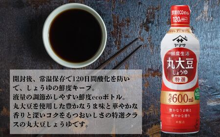 ヤマサ丸大豆しょうゆ 12本(1本600ml) しょうゆ