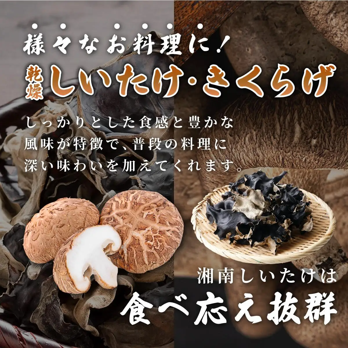 [5525-1106]湘南しいたけ 乾燥 しいたけ 乾燥 きくらげ 乾物 しいたけ シイタケ 椎茸 キクラゲ 木耳 乾燥 出汁 旨味 保存食 国産 スーパーフード サラダ スープ アレンジ料理 ヘルシー 北海道 伊達市