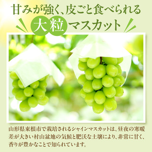 【2026年産】 シャインマスカット 約1.2kg (2房入) 山形県 東根市 hi026-054　（ぶどう マスカット シャインマスカット 2房 フルーツ 果物 くだもの 産地直送 期間限定 特産品 お取り寄せ グルメ 旬 東北 山形県 東根市 送料無料 ふるさと納税）