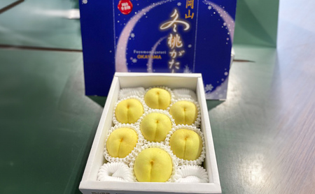 桃 2026年 先行予約 冬桃がたり 6～9玉（約1.2kg）化粧箱
