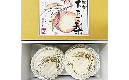 梨 2026年 先行予約 あたご梨 2玉（約1.7kg） 化粧箱
