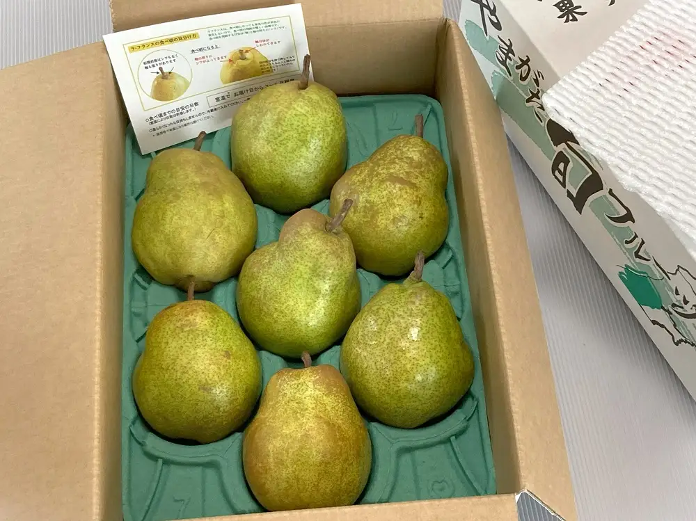 西洋梨（ラ・フランス）３ｋｇ　大玉　ご家庭用　0009-2610