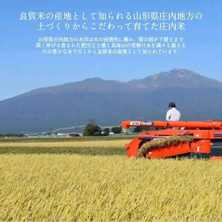 SA2959　令和7年産【精米】はえぬき　5kg×1袋 《農産物検査員おすすめの庄内米》 SY