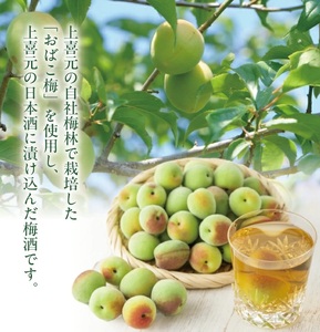 SZ0256　酒田の酒屋厳選　上喜元 うめしゅ　720ml×1本
