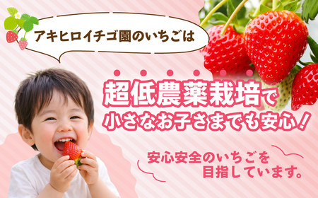 家庭用いちご やよいひめ ４パック 1120g いちご 群馬県 前橋市