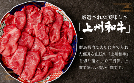 牛肉 和牛 上州和牛切り落とし 300g