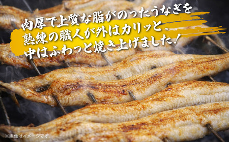 上州うなぎ蒲焼　1尾（150g以上）うなぎ