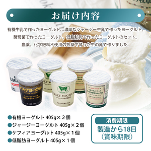 濃厚ヨーグルト 食べ比べ 400g×6個 ヨーグルトセット