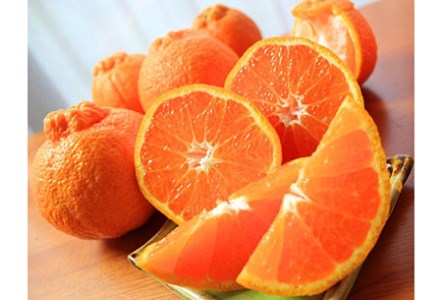 紀州有田産不知火(しらぬひ) 約5kg