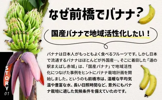 バナナ 紙箱入り 約10本 1.2kg 国産バナナ 贈答