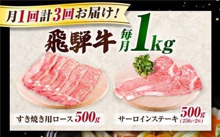 【3回定期】特選飛騨牛ステーキ&すきやき用 1kgセット[AVAG011] 飛騨牛 定期便