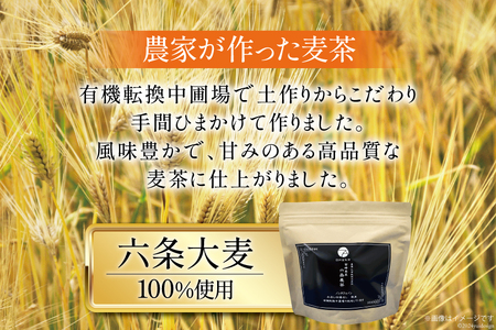 お茶 六条麦茶 10g 20包 [日向百生会 宮崎県 日向市 452061129]