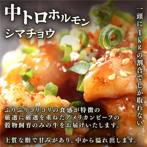 【 訳あり 】 中トロホルモン 西京味噌焼き 2kg ( 100gパック )  トロ 焼肉 牛 西京焼き 味噌 味付 小分け 冷凍 牛 肉 熨斗 贈答 ギフト 希少部位 肉 お歳暮 御歳暮 御中元 お中元  便利 簡単調理 厳選 キャンプ アウトドア 内祝 ほるもん おかず 味付けホルモン 肉 舞鶴 西京焼き 幸福亭