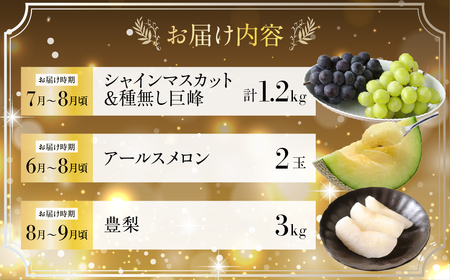 フルーツ定期便 3回 梨 ぶどう メロン