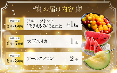 フルーツ定期便 6回 梨 ぶどう スイカ