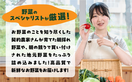 【定期便】あつみの旬の野菜BOX 4回定期便 やさい