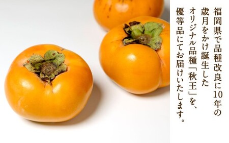 福岡県産 博多秋王【優等品】 約3.5kg以上（8玉～12玉入り）【2026年10月下旬～11月下旬発送予定】柿 かき 秋王 果物 フルーツ くだもの 先行予約