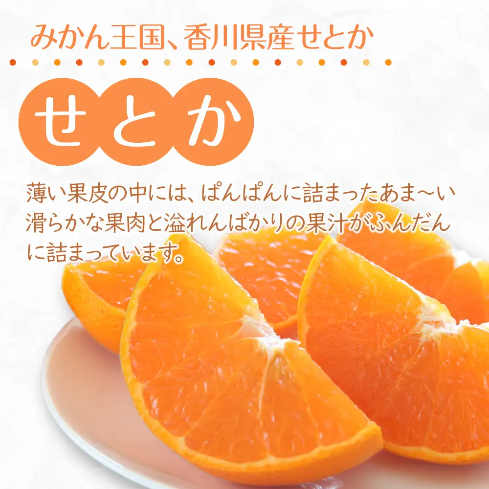 【2027年3月中旬より順次発送】柑橘界の大トロ！せとか　約3kg｜果物 くだもの フルーツ 柑橘 みかん せとか ミカン 人気 おすすめ お土産 ギフト 贈答 家庭用 先行予約 人気 おすすめ 香川 高松