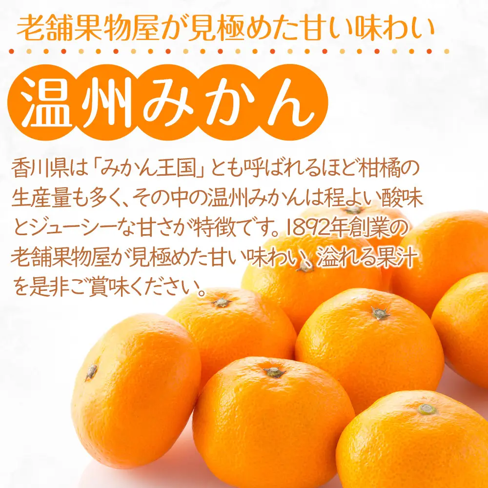 【2026年11月上旬より順次発送】極撰！温州みかん　約5kg｜果物 くだもの フルーツ 柑橘 みかん 温州みかん 人気 おすすめ 先行予約 香川 高松