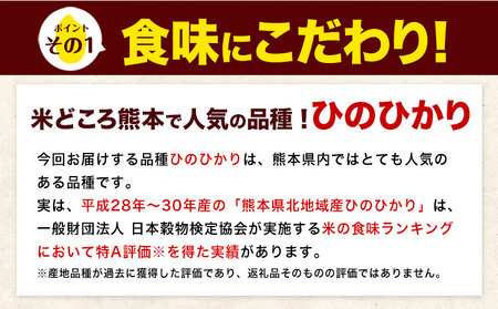 【12ヶ月定期便】令和7年産 白米 ひのひかり 定期便 15kg(5kg×3袋)《お申し込みの翌月から出荷》