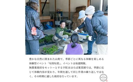 『旬刻旬菜』参加チケット（ペアチケット）家庭菜園のお悩みをプロ農家に相談できるランチ付き農業体験 ／ なつかしいみらいサービス 送料無料 チケット 無農薬栽培 農業体験 家庭菜園 ふるさと納税 奈良県 宇陀市