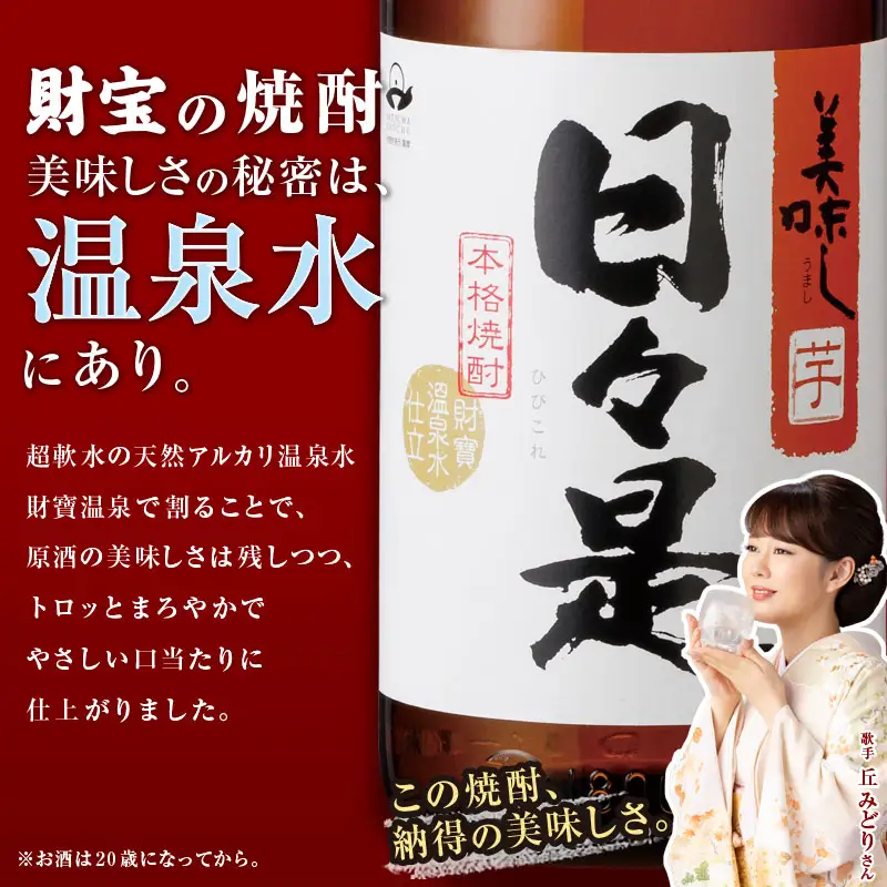 2760 芋焼酎 紙パック6本『日々是（芋）』温泉水仕立ての焼酎 KN021-003 酒 アルコール