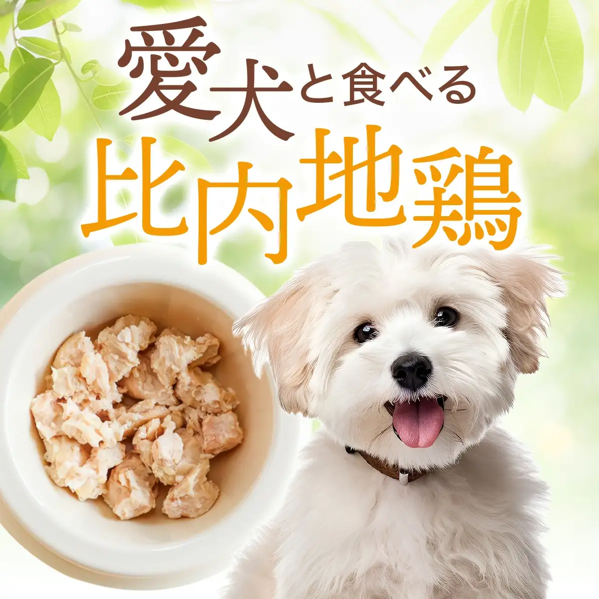 比内地鶏やわらかシリーズ ワンちゃんのごはん4種セット　55P7807