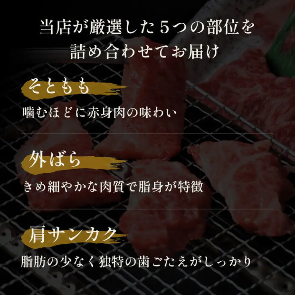 ＜和牛セレブ＞鳥取和牛希少部位5種焼肉食べ比べセット(500g・精肉箱付き)