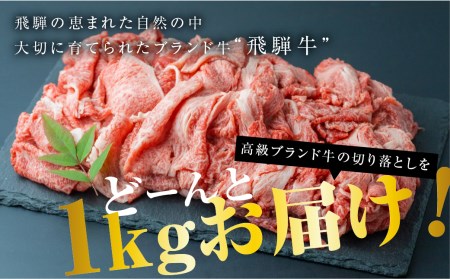 厳選　飛騨牛　切り落とし 切落し A4・A5ランク 1kg[D0078]