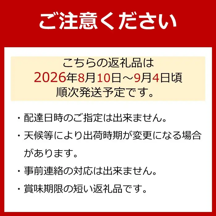 ［先行予約］［数量限定］梨とたなねし巨峰の詰め合わせ 約2kg　★2026年8月中旬頃より順次発送