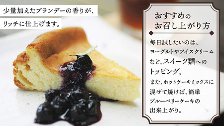 大崎上島産 ブルーベリー100%デザートソース 500mL×2本