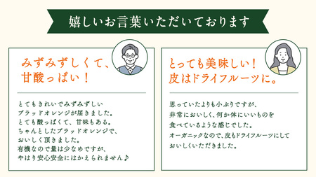 瀬戸内 オーガニック ブラッドオレンジ 1kg (8〜10個程度)  【2027年2月下旬以降発送】