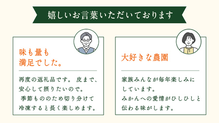 瀬戸内 オーガニック 圓妙寺 ネーブル 3kg ( 10~15個程度 ) 【2027年1月中旬以降発送】